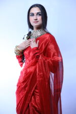 Rose Valore Red Tissue Saree - Image 4