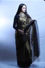 Bronze Midnight Tissue Saree