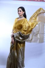 Golden Hour Tissue Saree - Image 5