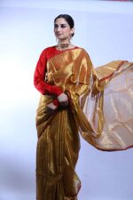 Sunlit Majesty Tissue Saree