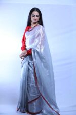 Silver Whispers Tissue Saree - Image 5